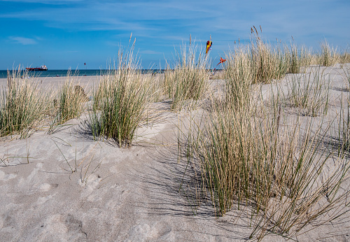 Dune landscape on the beach of Kuehlungsborn on the Baltic Sea