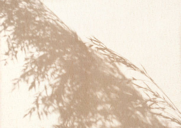 Light and shadow sunset on old retro beige fabric texture.  vintage textile background. Abstract backdrop with floral pattern and crossed lines shadows. Wabi sabi style aestetics