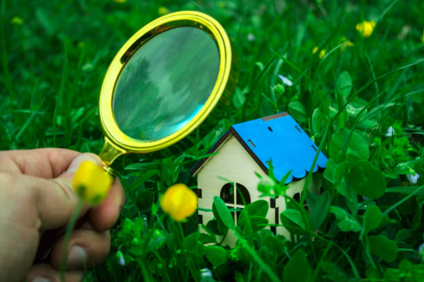 istock magnifying glass looking at the house on the grass 1318822836