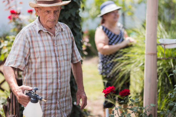 человек использует жидкие удобрения - senior adult couple farm gardening стоковые фото и изображения