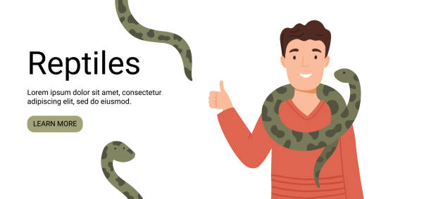 vector banner with a man and snakes vector banner, cute man and snake, concept image for pet shops and snake lovers pet snake stock illustrations