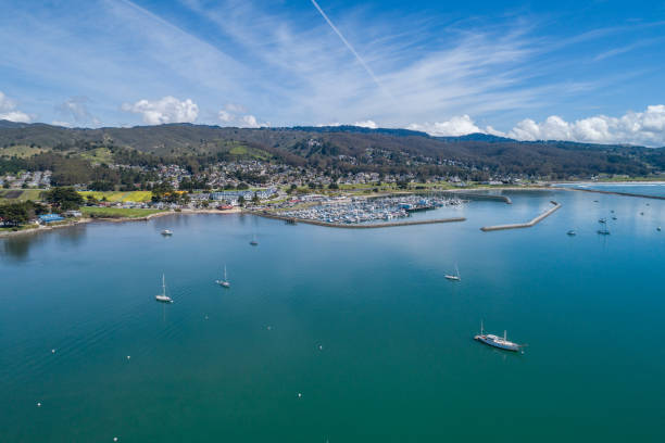 istock Half Moon Bay Harbor with Yachts and Boats in Background 1318826737