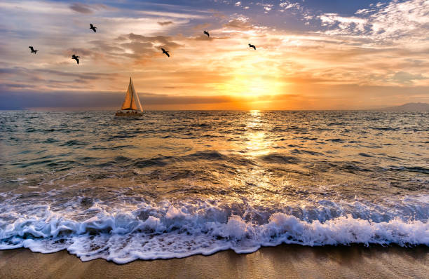 istock Sailboat Sunset Sailing Birds 1318826746