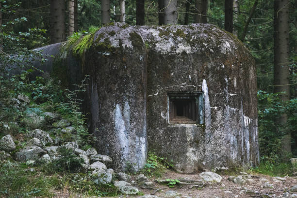 istock Old abandoned concrete bunker in the forest 1318829533