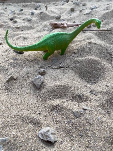istock Dinosaur toy in sand 1318829727
