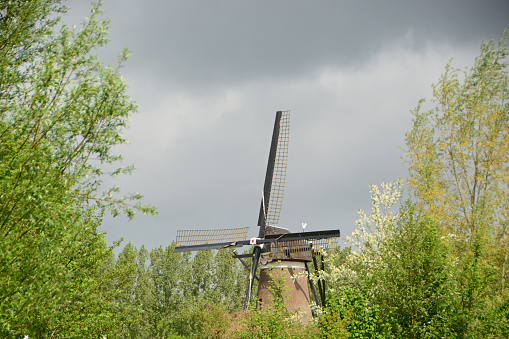Nort brabant: Single windmill with blades standing between green plants.
