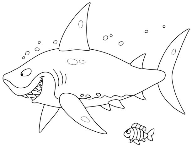 stockillustraties, clipart, cartoons en iconen met grote witte haai en een kleine gestreepte vis - toy shark