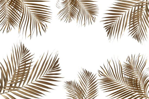 istock Gold tropical palm leaves on white background. Flat lay, top view minimal concept. 1318837146