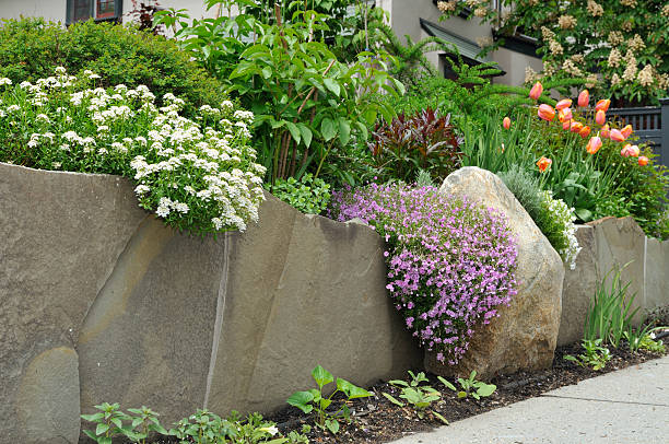 돌담 디자인 - landscaped retaining wall stone flower bed 뉴스 사진 이미지