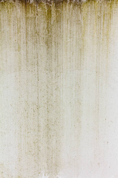 Surface of a gray concrete wall with green water stains