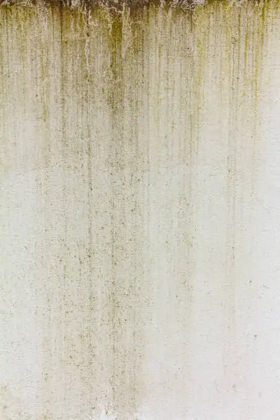Photo of Surface of a gray concrete wall with green water stains