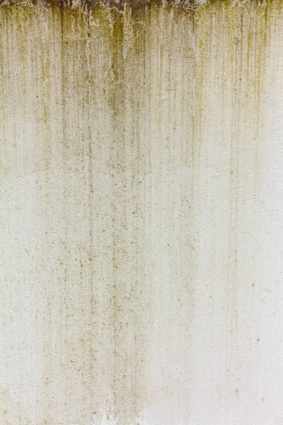 surface of a gray concrete wall with green water stains - water damaged stained concrete imagens e fotografias de stock