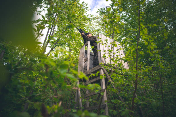 caçador com rifle mirando do assento alto - high seat - fotografias e filmes do acervo