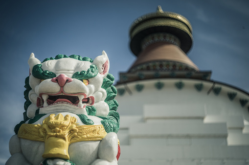 Protector of Great Stupa of Universal Compassion
