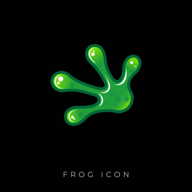 illustrazioni stock, clip art, cartoni animati e icone di tendenza di zampa di rana verde. icona della rana, anfibio tropicale. - frogspawn