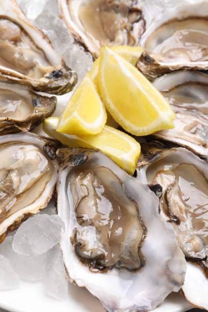 istock Delicious fresh oysters with lemon slices on ice, closeup 1318848899