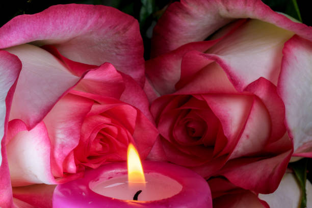 istock A candle is burning next to white-red roses 1318849043