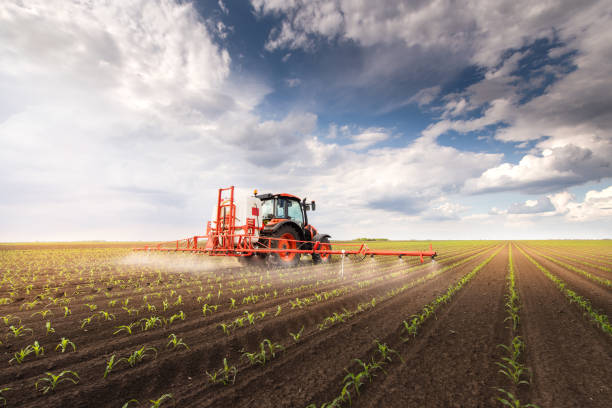tractor rocía pesticidas en campo de maíz con pulverizador en primavera - fertilizante fotos fotografías e imágenes de stock