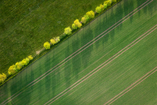 istock Aerial view of fields in spring 1318853458