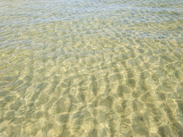 istock Abstract water texture background. Clear sea and sand 1318856739