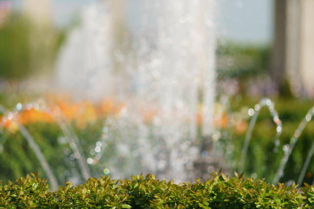 Fresh water of fountain in hot sunny spring day. White color of water and greens of the plants in the public park. Concept of the beauty. Close up photography