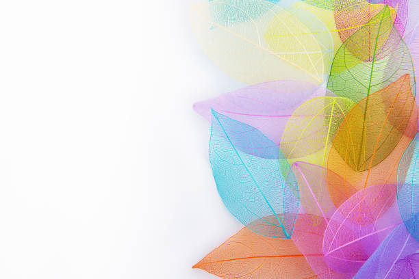 istock Colorful leaf veins isolated on white backgrounds 1318857491