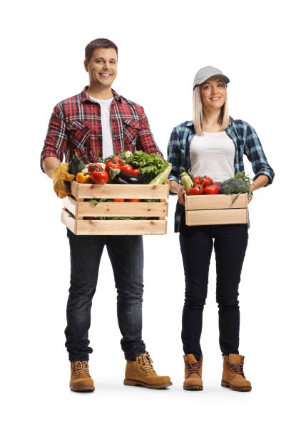 retrato de cuerpo entero de un joven y una mujer sosteniendo cajas llenas de verduras - box men holding isolated fotografías e imágenes de stock