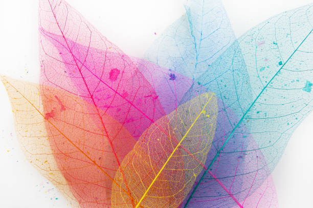istock Colorful leaves backgrounds 1318859090