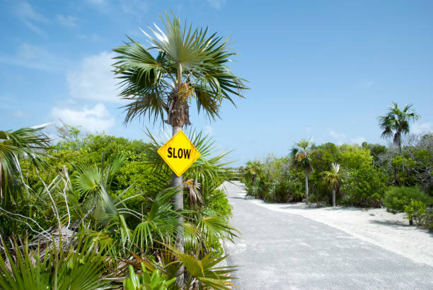 istock Half Moon Cay Road And A Warning Sign 1318864134