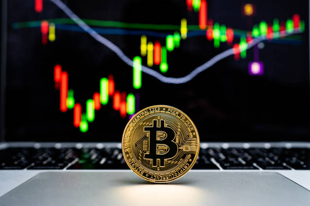 bitcoin-münze wird auf einem laptop mit einem graph-hintergrund auf dem computer-bildschirm platziert. - hund grafiken stock-fotos und bilder
