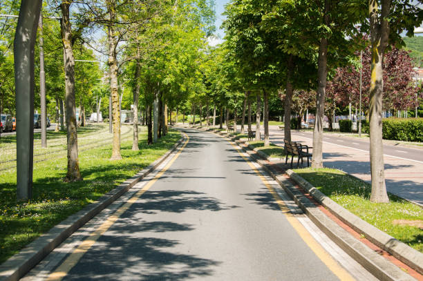 istock Street with trees 1318866119