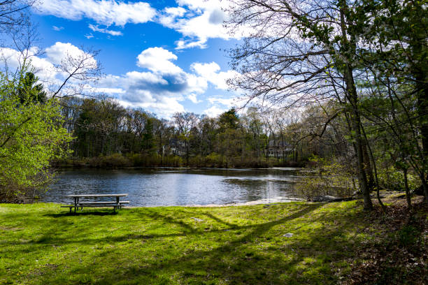 istock Picnic area by the pond 1318866238