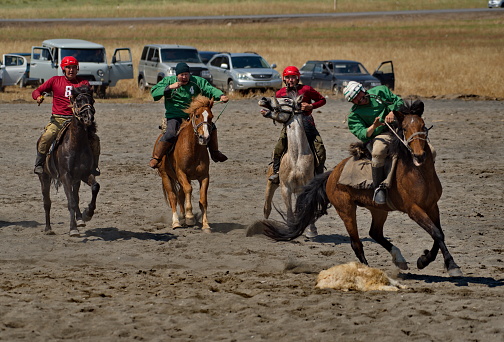 Kupchegen. Russia. May 14, 2021. Altai National Equestrian Game Kok-Boru. Players on horses enter the fight for a sports equipment in the form of a decapitated carcass of a goat (ulah) weighing 35 kg.