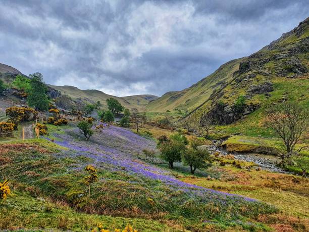 istock Rannerdale Knotts and its bluebells 1318868043
