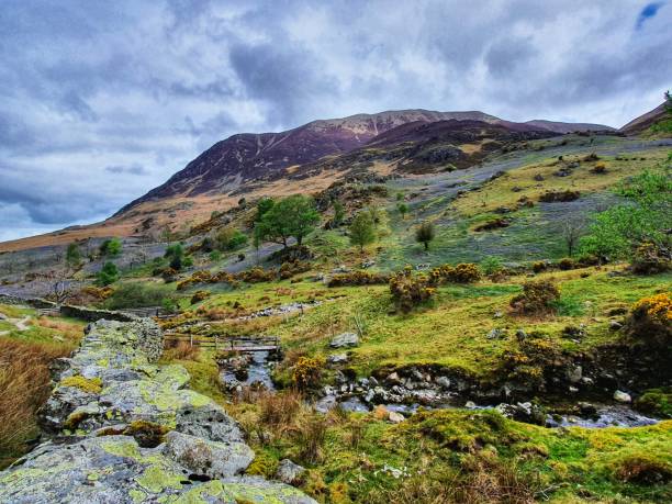 istock Rannerdale Knotts and its bluebells 1318868943