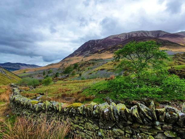 istock Rannerdale Knotts and its bluebells 1318869008