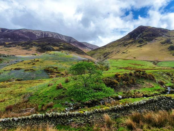 istock Rannerdale Knotts and its bluebells 1318869055