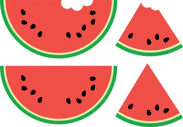 Vector illustration of Watermelon Illustration, Red Watermelon Slices
