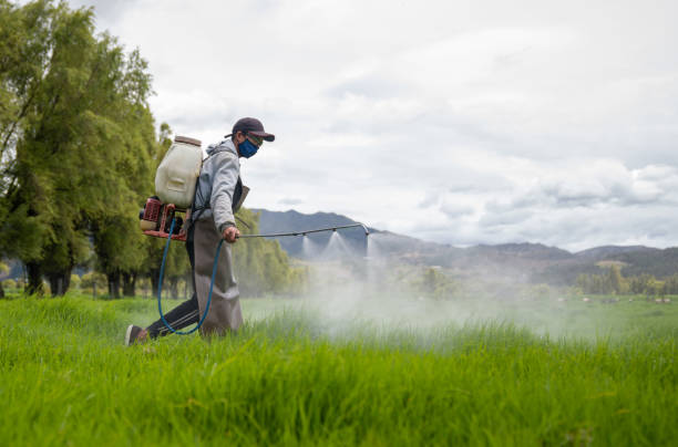 istock Farmer fertilizing the grass at a farm 1318877928