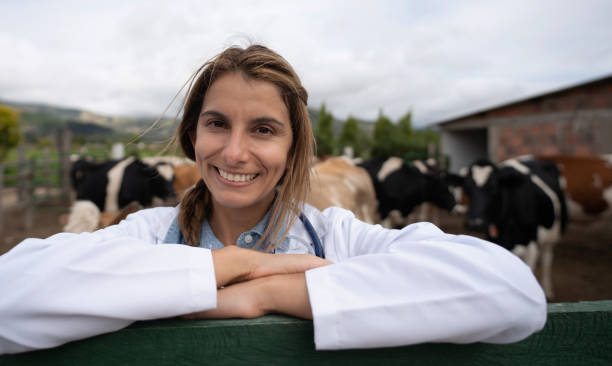 istock Happy vet working with cattle at a farm 1318877977