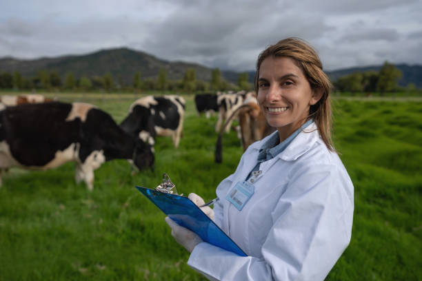 istock Happy vet checking some cattle at a farm 1318877993