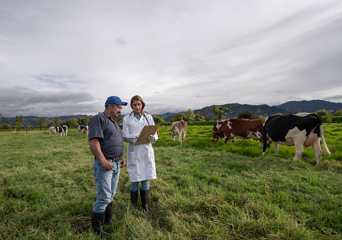 Portrait of a Latin American Vet talking to a farmer about his cows at a livestock farm - farming concepts