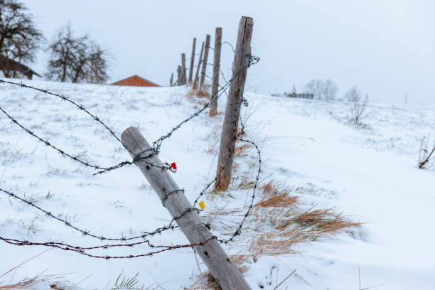 istock Broken barbed wire fence in the snow 1318878117
