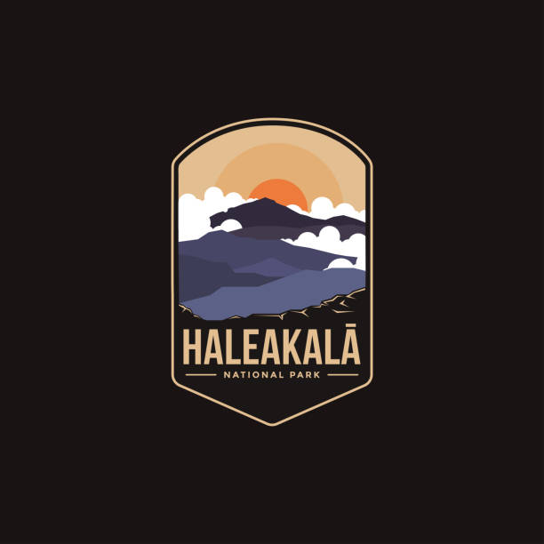 Emblem patch vector illustration of Haleakala Mountains National park on dark background Emblem patch vector illustration of Haleakala Mountains National park on dark background hiking snack stock illustrations
