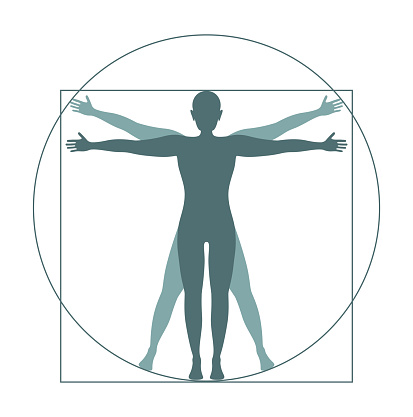 vitruvian man icon of person  isolated on white background