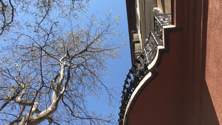 Old Residential Building In The Downtown