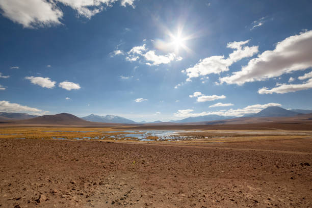 vista dalla strada panoramica per el tatio geysers, cile - geyser nature south america scenics foto e immagini stock