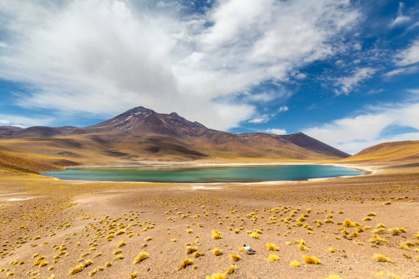 istock Miniques Lagoon in the Atacama Desert, Chile 1318883695
