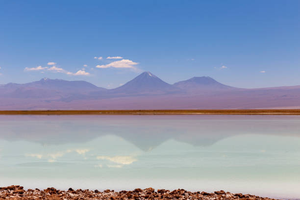 istock Tebinquinche lagoon, Salar de Atacama, Chile 1318883725