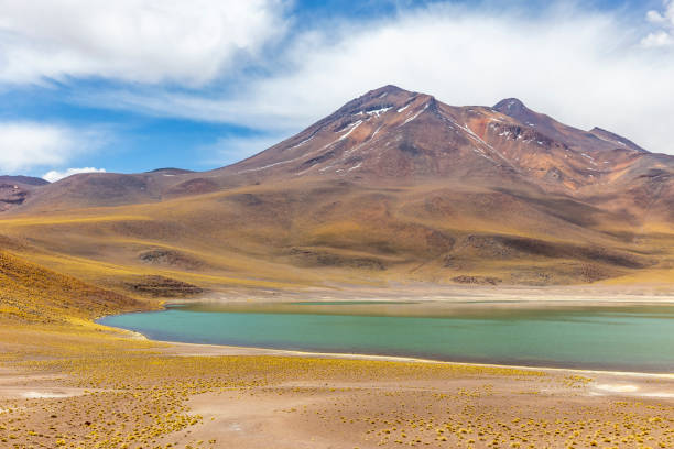istock Miniques Lagoon in the Atacama Desert, Chile 1318883768